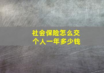 社会保险怎么交 个人一年多少钱